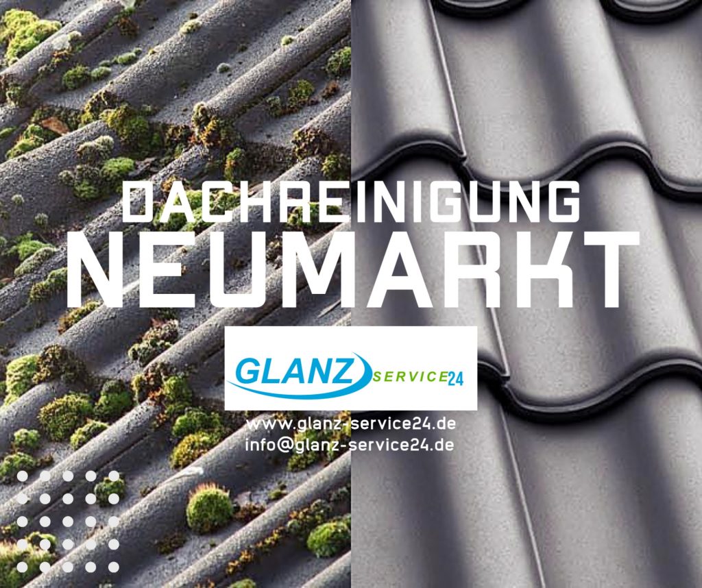 Dachreinigung Neumarkt Oberpfalz