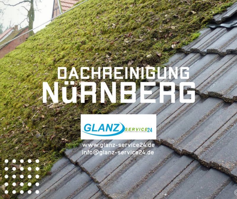 Dachreinigung Nürnberg