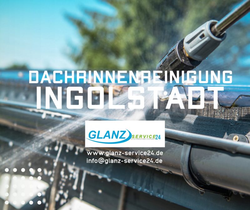 Dachrinnenreinigung Ingolstadt