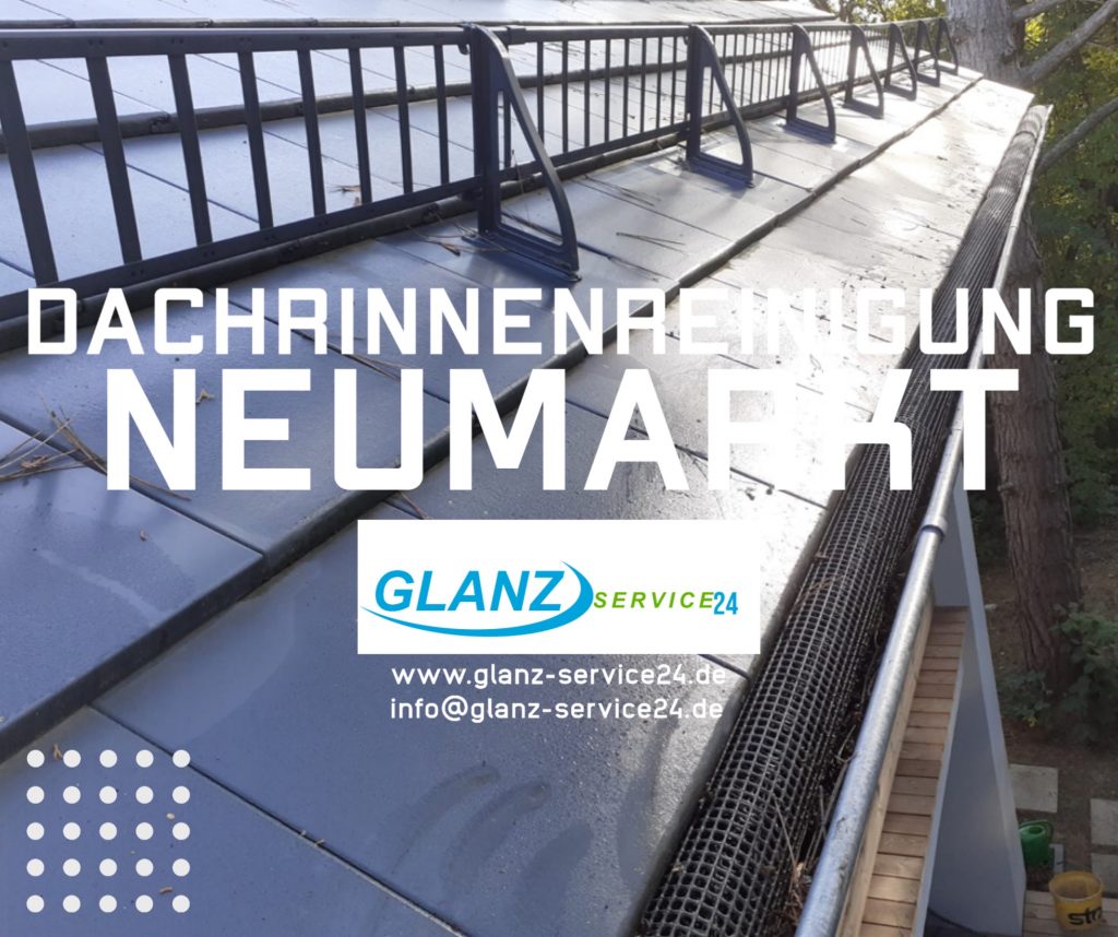 Dachrinnenreinigung Neumarkt Oberpfalz