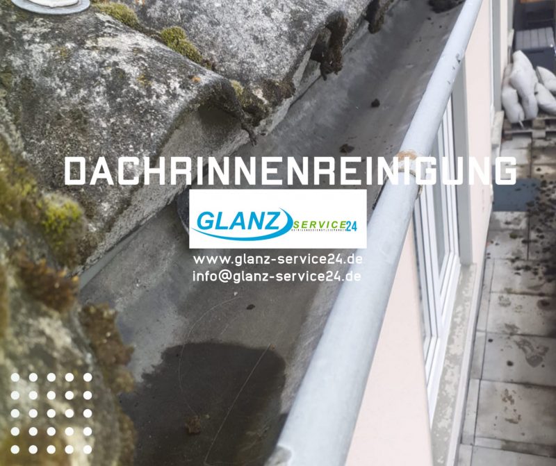 Dachrinnenreinigung Regensburg